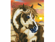 DIAMOND DOTZ Diamantová výšivka Diamond Dotz Strakatý kůň 43,5x54cm DD9035
