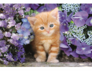 Clementoni - Puzzle 500 Zrzavá kočka