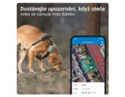 Tractive GPS DOG XL – sledování polohy a aktivity pro psy - zelený