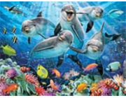 PRIME 3D PUZZLE - Delfíni 63 dílků