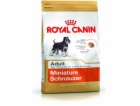 ROYAL CANIN Miniature Schnauzer Adult - suché krmivo pro ...