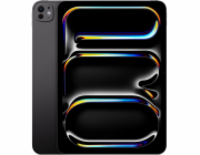 iPad Pro 13" Wi-Fi + Cellular 256 GB se standardním sklem – vesmírně černý