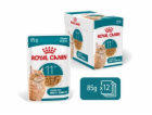 ROYAL CANIN Ageing 11+ Chunks in gravy - mokré krmivo pro...