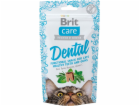 BRITCare Cat Snack Dental - pamlsek pro kočky - 50 g