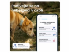 Tractive DOG 6 – GPS lokátor pro psy a monitor zdraví, má...
