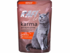 RAFI Cat Adult with duck - mokré krmivo pro kočky - 100g
