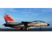 Revell Plastikový model F-14D Super Tomcat