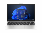 HP 250/G10/i5-1334U/15,6"/FHD/8GB/512GB/Intel int/W11H/Silver/2R