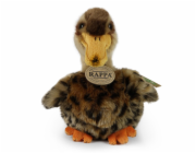 Rappa Plyšová kachna divoká 19 cm ECO-FRIENDLY