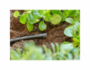 Těsnicí zátka GARDENA Micro-Drip-System 4,6 mm (3/16")