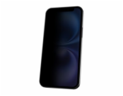 DICOTA - Filtr pro soukromí obrazovky pro mobilní telefon - 4-way, adhesive - ctyrcestné - odstranitelné - lepicí - pro Apple iPhone Air