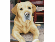 DIAMOND DOTZ Diamond Dotz diamantová výšivka diamantová mozaika Labrador King 48x58cm DQ10027