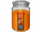 Atmosphera Vonná svíčka NINA ve skle, 510 g, tropické ovoce