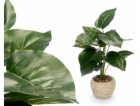 Ibergarden Umělá rostlina FILODENDRON, 40 cm