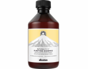 Davines Čisticí šampon pro pokožku hlavy s mokrými nebo suchými lupy 250 ml