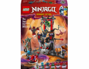 LEGO Ninjago Storm Dragon Village (71841)