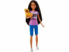 Mattel Barbie BRB LIGAYA PANENKA Z FILMŮ HRM06 WB4