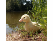 Rappa Plyšová kachna 24 cm ECO-FRIENDLY