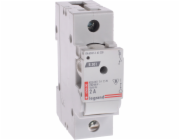 LEGRAND FUSE LISTONKTOR 1P 2A D01 R301 (606600)
