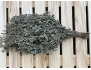 FLAMMIFERA šindel v průběhu roku