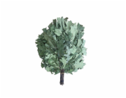 Dubový šindel FLAMMIFERA