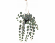 4Living Umělá závěsná rostlina, 40 cm