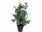 Umělý eukalyptus v květináči EDEN, 54 cm