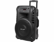 Azusa Aktivní sloupový reproduktor (se 2 bezdrátovými mikrofony, SD kartou, Bluetooth, USB) 12/40 W