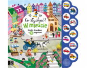 Aksjomat Co se děje? Ve městě Zvuk knihy 10button.39488