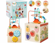 LeanToys Vzdělávací senzorická kostka, 5 úrovní, dřevěná