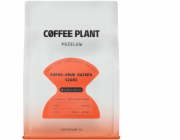 Coffee Plant KÁVOVÁ ROSTLINA - Papua Nová Guinea Sigri Praný filtr 250g
