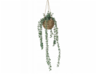 Boltze Umělá závěsná rostlina EUKALYPTUS, 78 cm