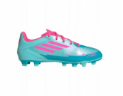 Adidas Kopačky F50 Club FG/MG IH0929