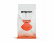 Coffee Plant KÁVOVÁ ROSTLINA - FLOW Blossom filtr 800g