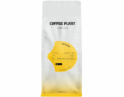 Coffee Plant KÁVOVÁ ROSTLINA - Intenzivní espresso 1kg