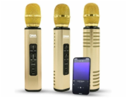 Remax Bluetooth reproduktor s karaoke mikrofonem DNA KM6