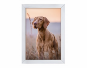 NoName Rám Woodflow FrameFlip A3 - bělené dřevo