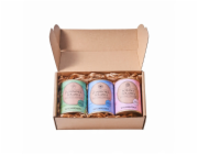 Dworzysk - Sada květin počasí