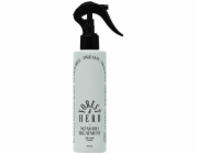 NoName ODID_Milkprotein Intensive No Wash Ampoule Treatment Volume Conditioner Mist 200ml