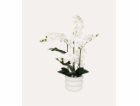 ATMOSPHERA Umělá orchidej MICK v keramickém květináči, 80 cm