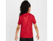 Nike Tričko Liverpool FC Academy Pro SS Jr FQ0013-688