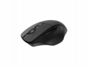 Rapoo Myš610 černá