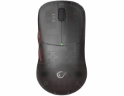 Aptel Rampage Tilion Mouse Black