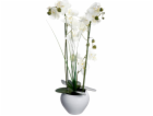 ATMOSPHERA Orchidej v bílém květináči 53 cm