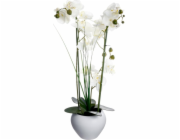 ATMOSPHERA Orchidej v bílém květináči 53 cm