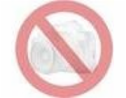 Quantec Náhradní azurový toner 113R00723 (TON-0627)