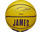 Wilson NBA Player Icon LeBron James Miniball WZ4027701XB ...