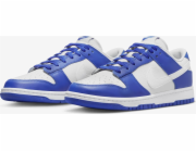 Nike Dunk Low FN3416-001 šedá 40