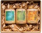 Dworzysk Dworzysk - Zdravý den - Sada