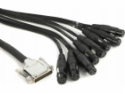 WARM AUDIO - Audio kabel PREMIER DB25 - XLRf 1,8 m